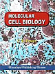 Molecular Cell Biology