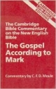 THE GOSPEL ACCORDING TO MARK (CLPE)