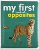 My First Book Of Opposites