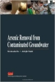 arsenic removal from contaminated groundwater 