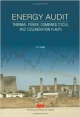 energy audit thermal power combined cycle  and