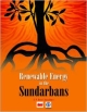 Renewabie energy in the sundarbans 