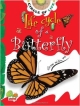 Life Cycle of a Butterfly