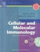 CELLULAR AND MOLECULAR IMMUNOLOGY