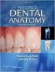 DENTAL ANATOMY ITS RELEVANCE TO DENTISTRY