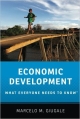 Economic Development: What Everyone Needs to Know