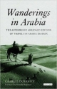 Wanderings in Arabia