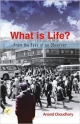 What is Life?: From the Eyes of an Observer