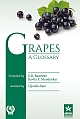 GRAPES: A Glossary