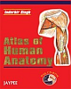 Essentials of Anatomy 02 Edition