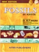 Fossils, 1/Ed.