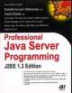 Professional Java Server Programming J2EE 1.3 edition