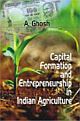 Capital Formation and Entreprenureship in Indian Agricultural