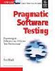 Pragmatic Software Testing Becoming an Effective and Efficient Test Professional