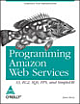 Programming Amazon Web Services: S3, EC2, SQS, FPS, and Simple DB,