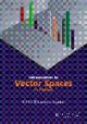 Introduction to  Vector Spces in Physics